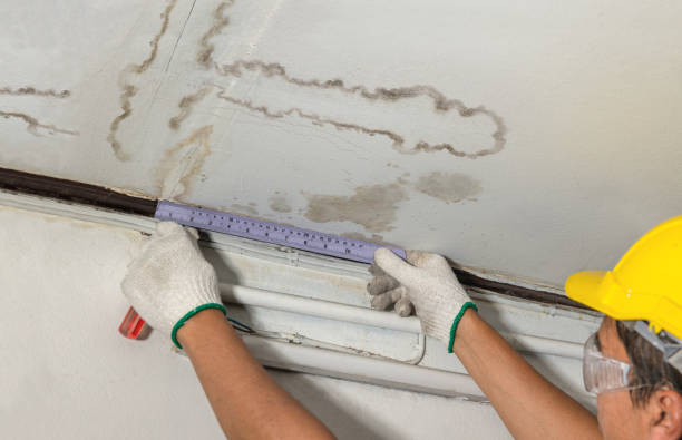 Reliable Burst Pipe Cleanup contractor in Lacey, WA by Water Damage Irwin